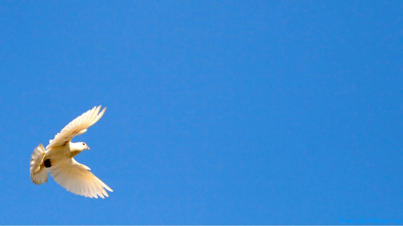 cww-photo-20130222-lent09-1600x900