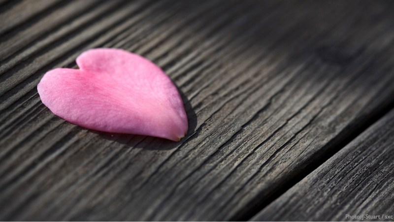 cww-photo-20130304-lent17-1600x900