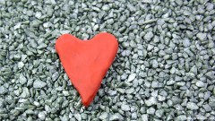 預苦期四十天靈修操練．第十九天