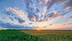 預苦期四十天靈修操練．第二十天