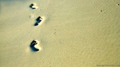 預苦期四十天靈修操練．第三十天