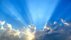 預苦期四十天靈修操練．第四十天