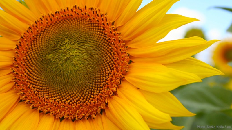 cww-photo-20130421-sunday-1600x900