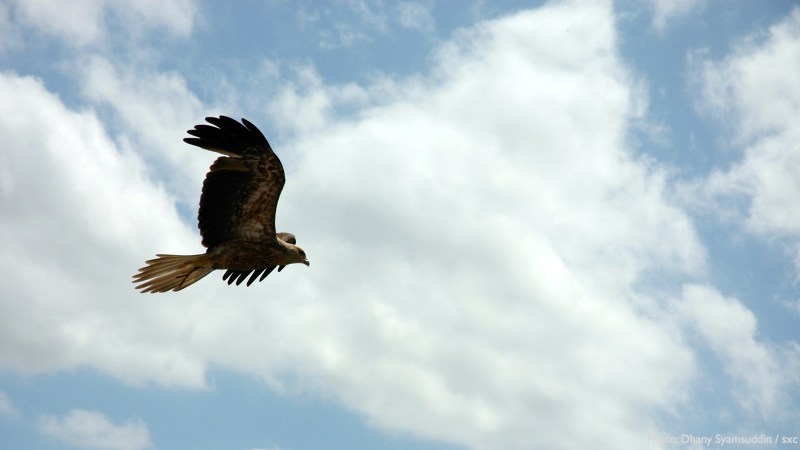 cww-photo-20130526-sunday-1600x900