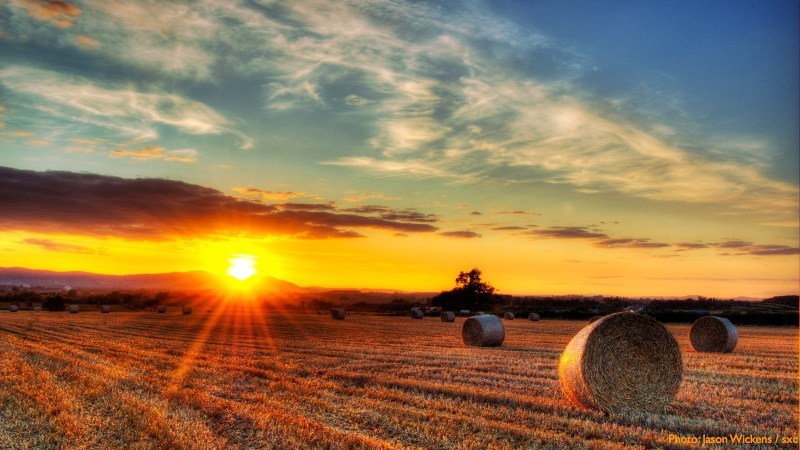 cww-photo-20131208-sunday-1600x900