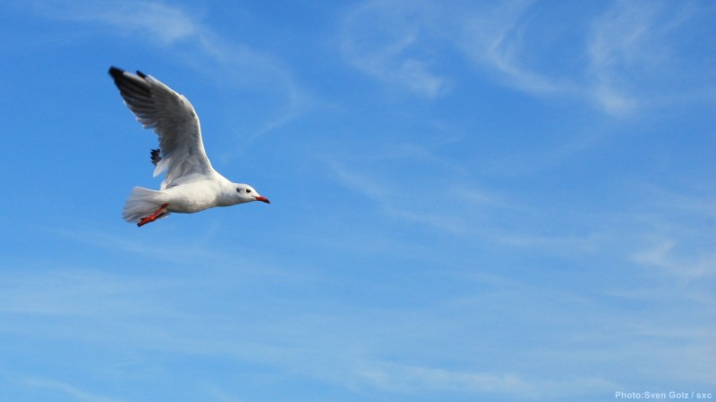 cww-photo-20140112-sunday-1600x900