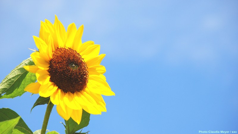 cww-photo-20140216-sunday-1600x900