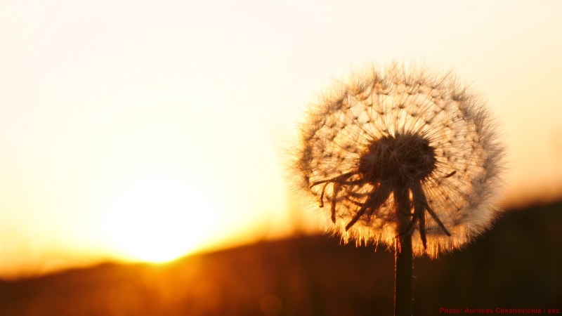 cww-photo-20140227-1600x900