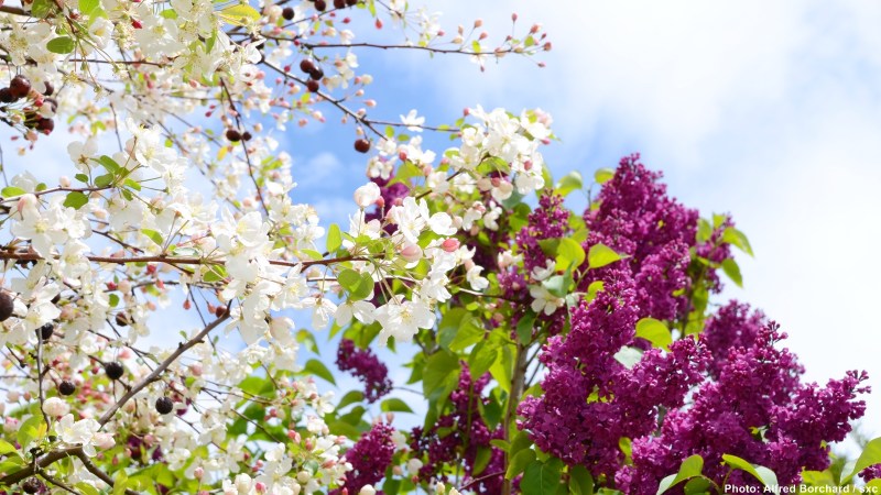 cww-photo-20140303-1600x900