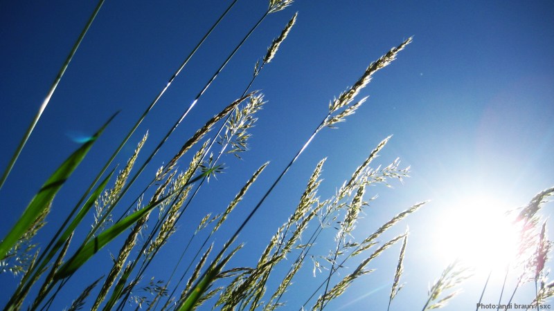 cww-photo-20140325-lent-1600x900