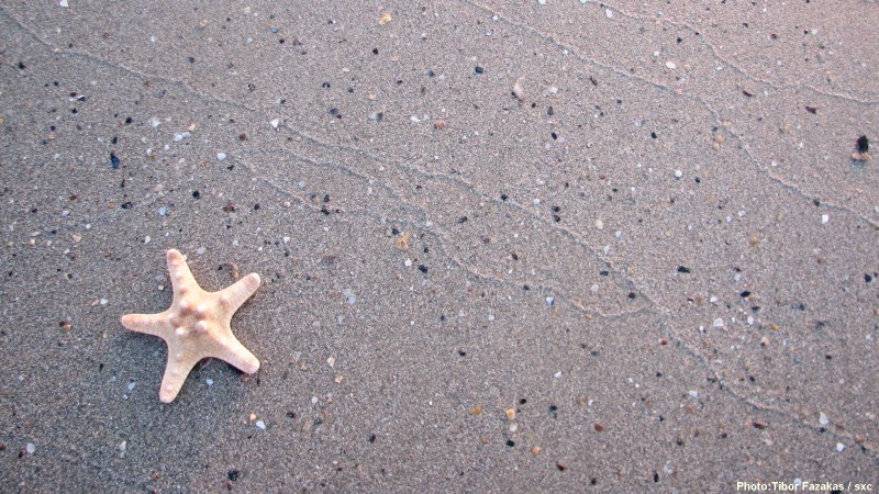 cww-photo-20140331-1600x900