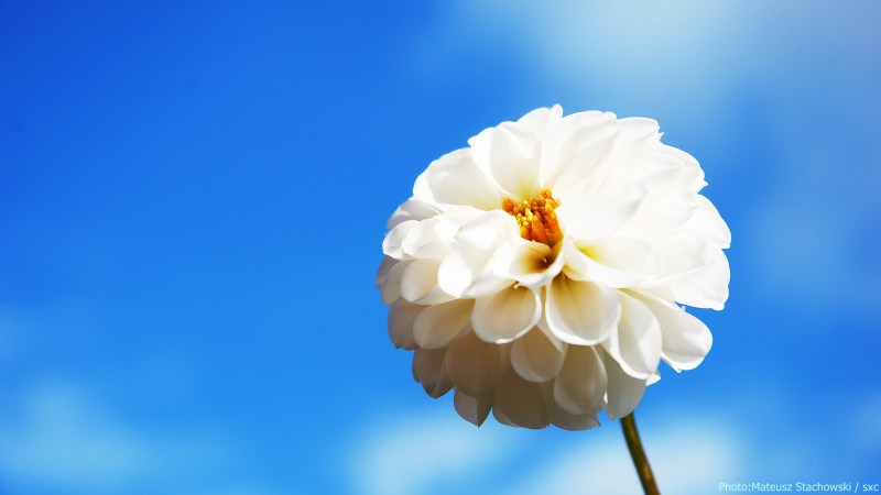 cww-photo-20140420-sunday-1600x900