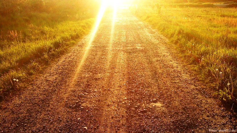 cww-photo-20140511-sunday-1600x900