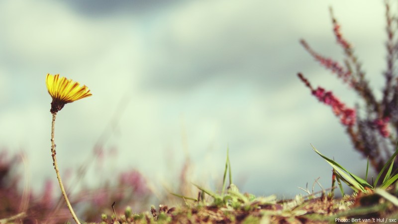 cww-photo-20140525-sunday-1600x900