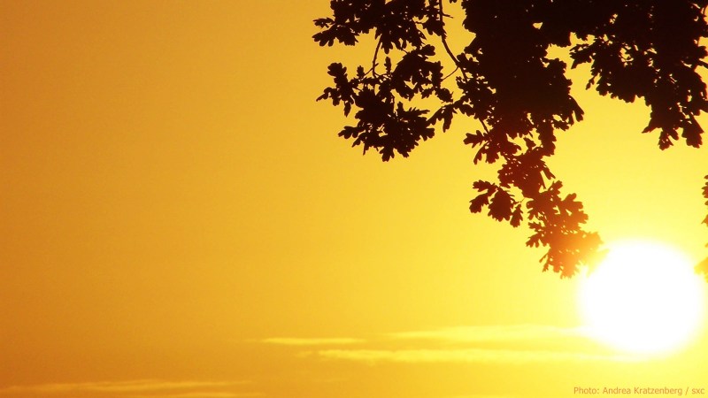 cww-photo-20140803-sunday-1600x900