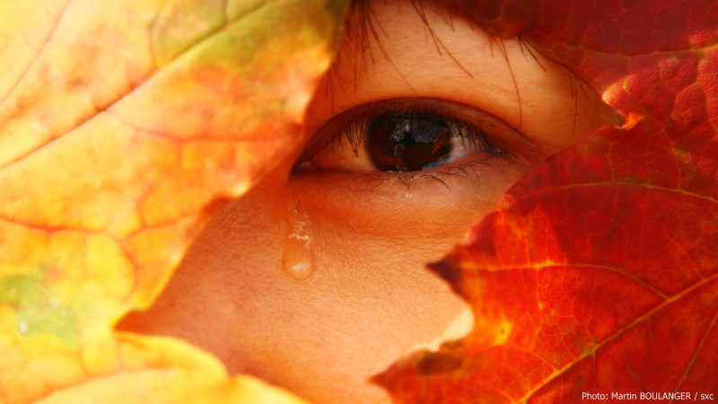 cww-photo-20140928-sunday-1600x900