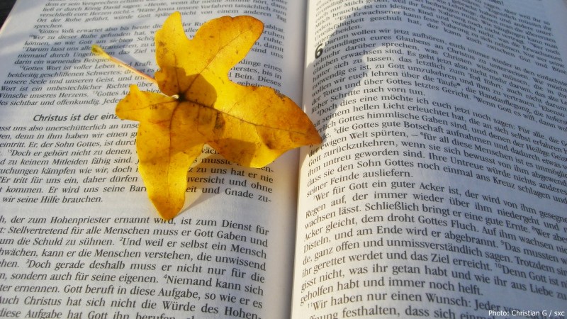 cww-photo-20141109-sunday-1600x900