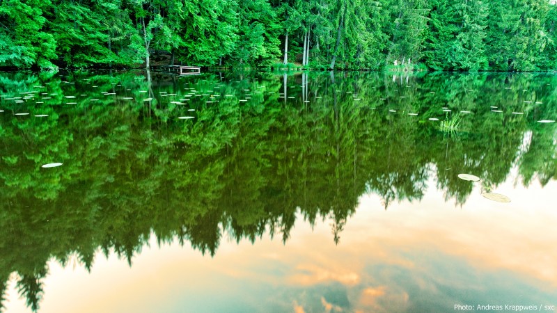 Sunset on Quiet Lake