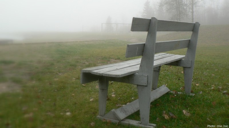 cww-photo-20150102-1600x900