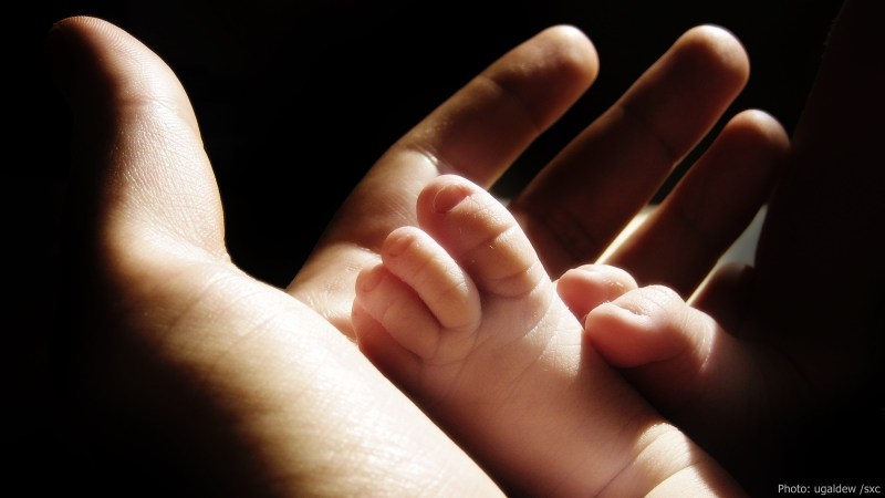 cww-photo-20150118-sunday-1600x900