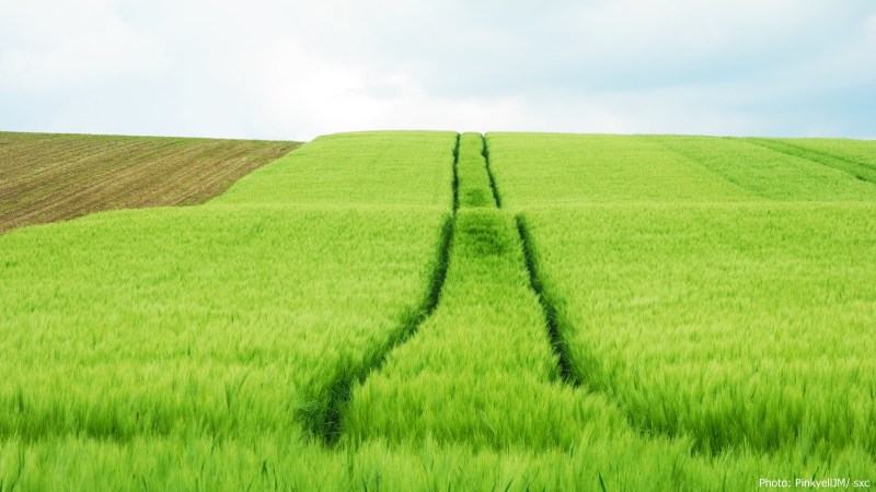 cww-photo-20150223-lent-1600x900