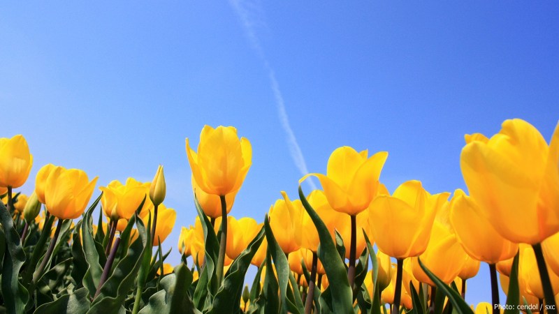 cww-photo-20150303-lent-1600x900