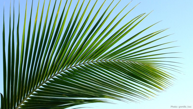 cww-photo-20150329-sunday-1600x900