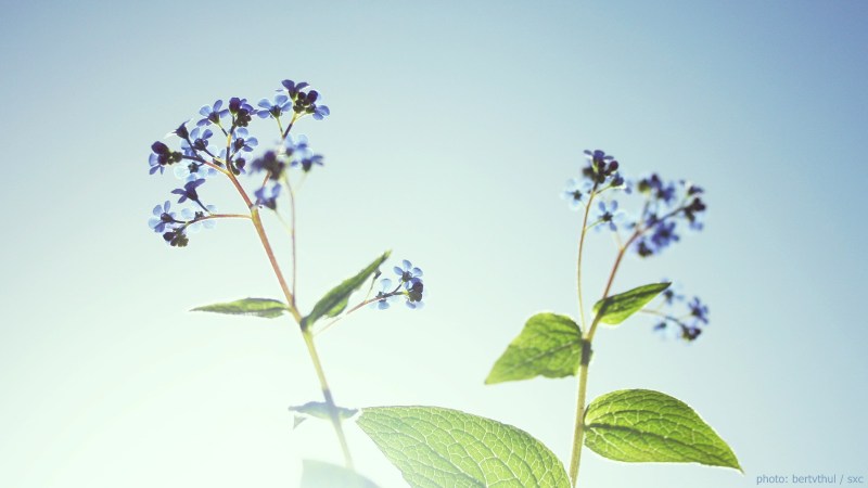 cww-photo-20150510-sunday-1600x900