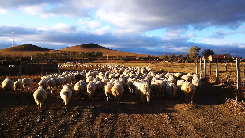 cww-photo-20150517-sunday-1600x900