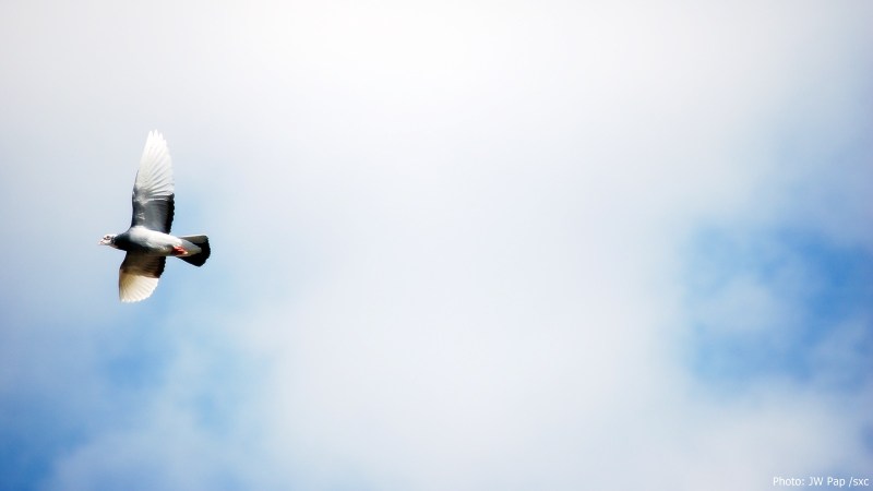 cww-photo-20150719-sunday-1600x900