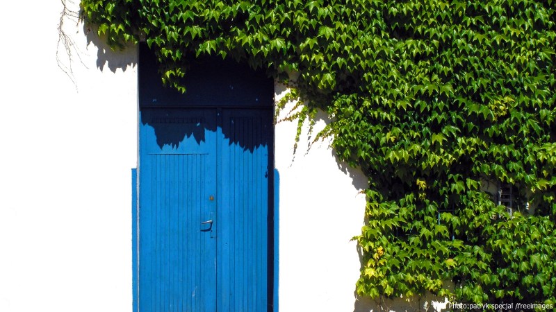 KONICA MINOLTA DIGITAL CAMERA