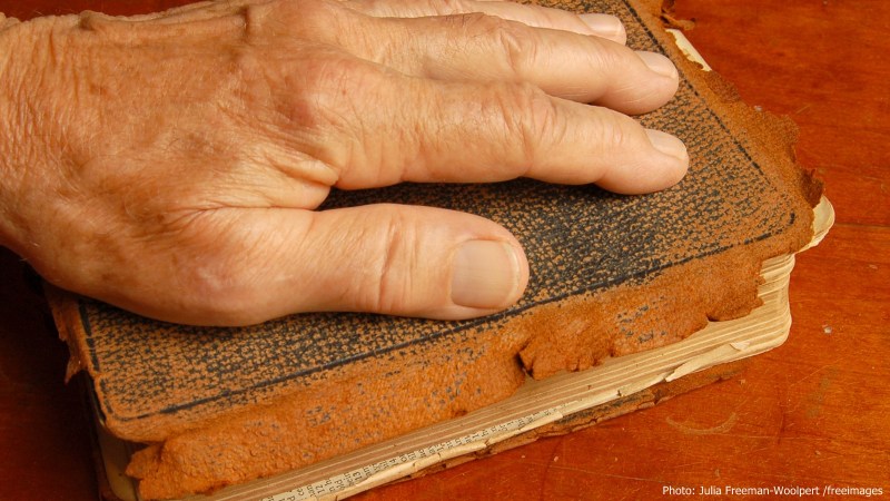 cww-photo-20151213-sunday-1600x900