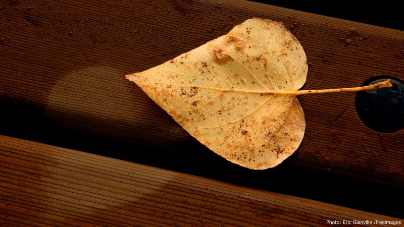 cww-photo-20160110-sunday-1600x900