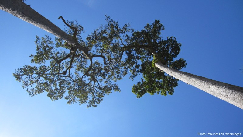 cww-photo-20160124-sunday-1600x900