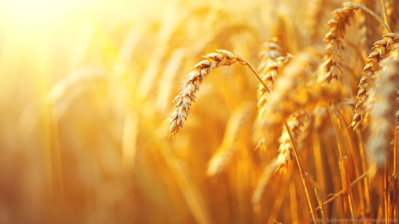 cww-photo-20160305-lent-d22-1920x1080