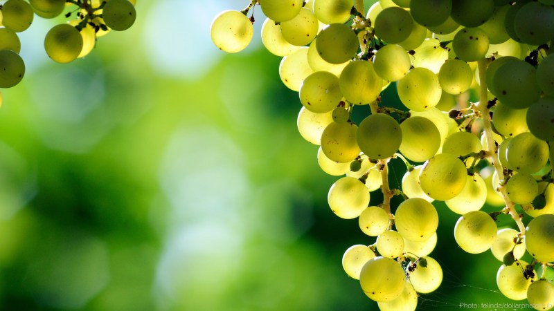 cww-photo-20160318-lent-d33-1920x1080