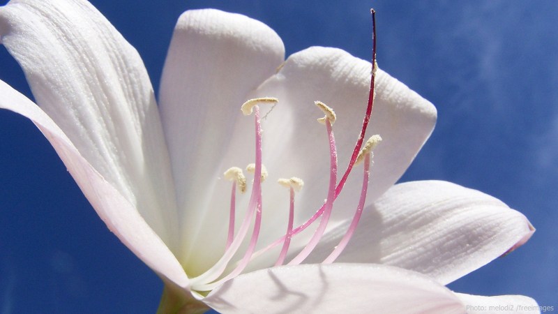 cww-photo-20160327-sunday-1600x900