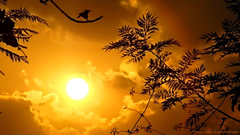 cww-photo-20160501-sunday-1600x900