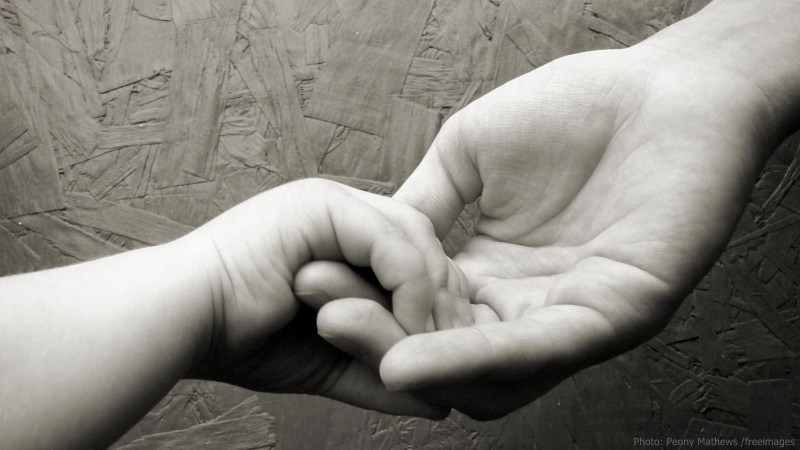 cww-photo-20160605-sunday-1600x900