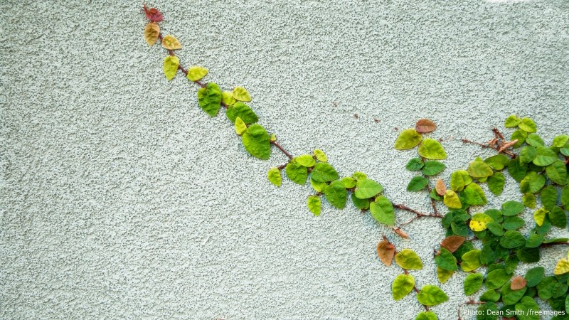 cww-photo-20160612-sunday-1600x900