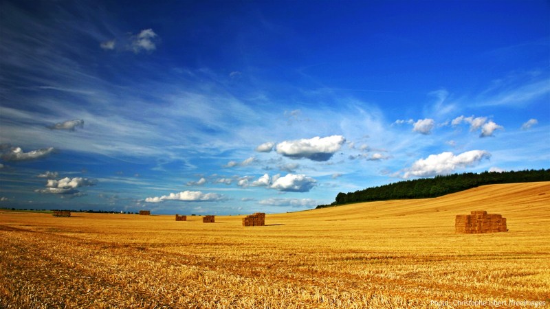 cww-photo-20160619-sunday-1600x900