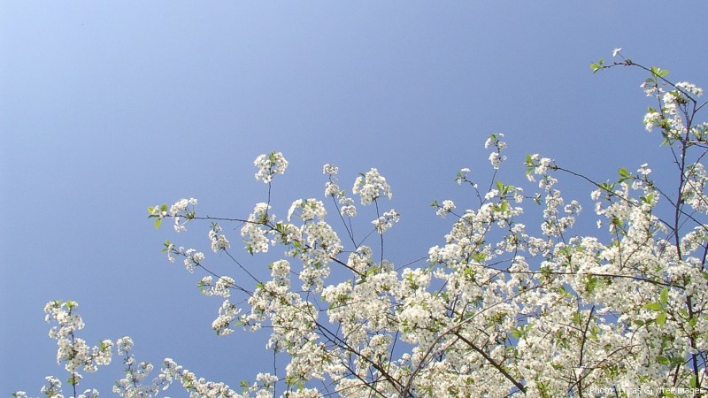 cww-photo-20160626-sunday-1600x900