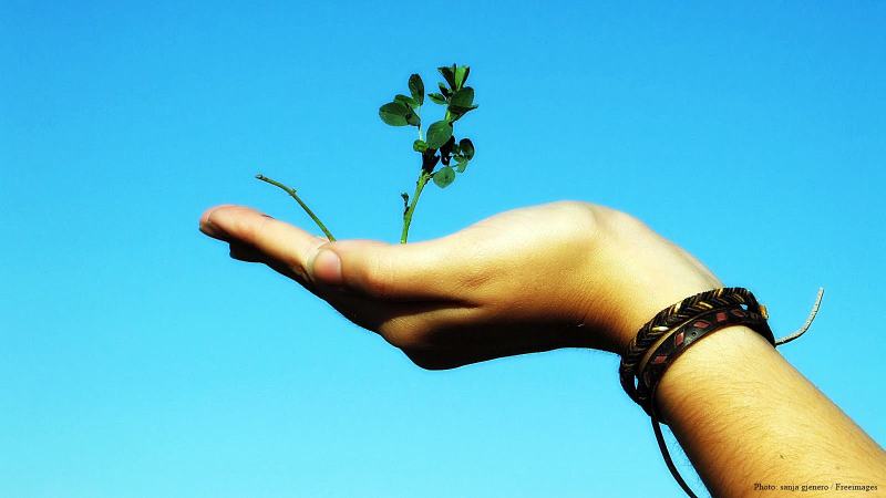 cww-photo-20160710-sunday-1600x900