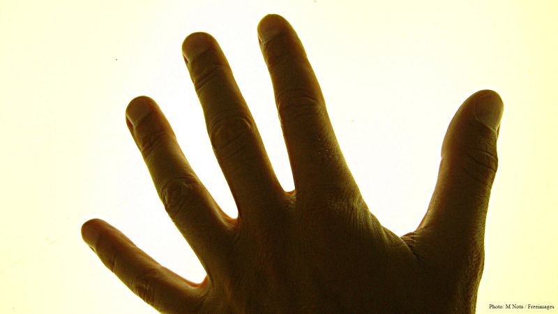 cww-photo-20160911-sunday-1600x900