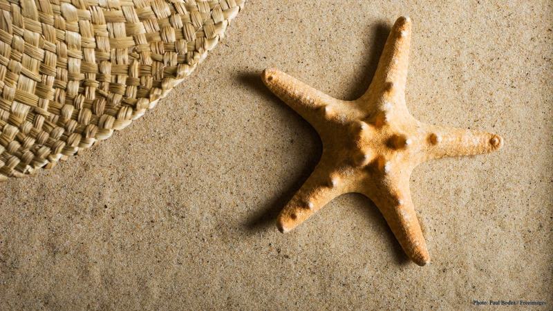 cww-photo-20160918-sunday-1600x900