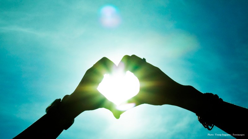 cww-photo-20170226-sunday-1600x900