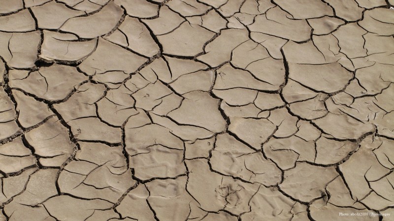 cww-photo-20170305-sunday-1600x900