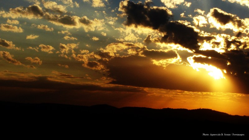 cww-photo-20170326-sunday-1600x1900